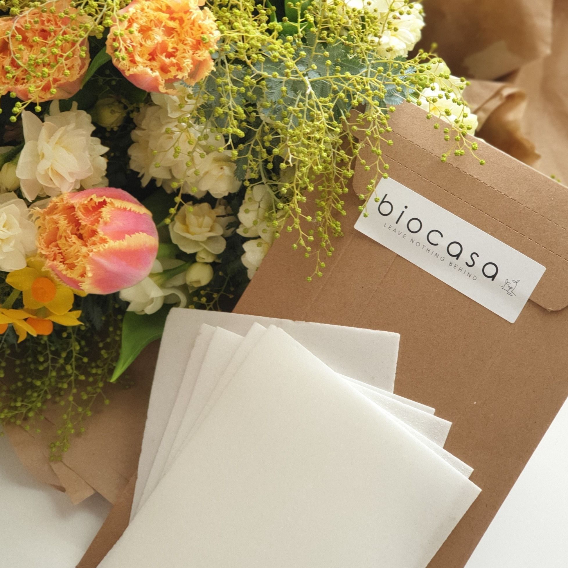 Biocasa: Everything You Need to Meet Your Sustainable Lifestyle Goals
