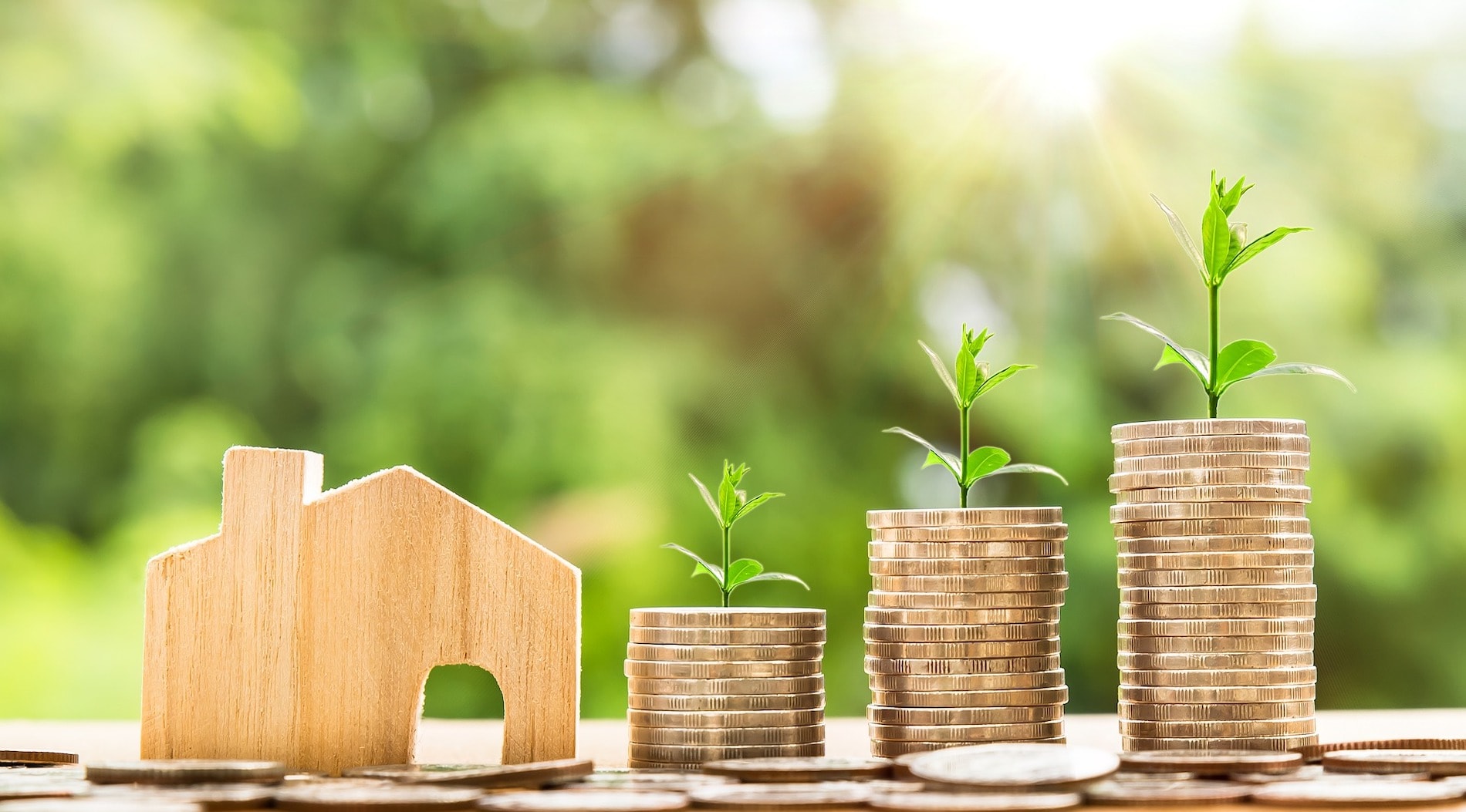 أكوام من العملات المعدنية بأوراق تنمو منها