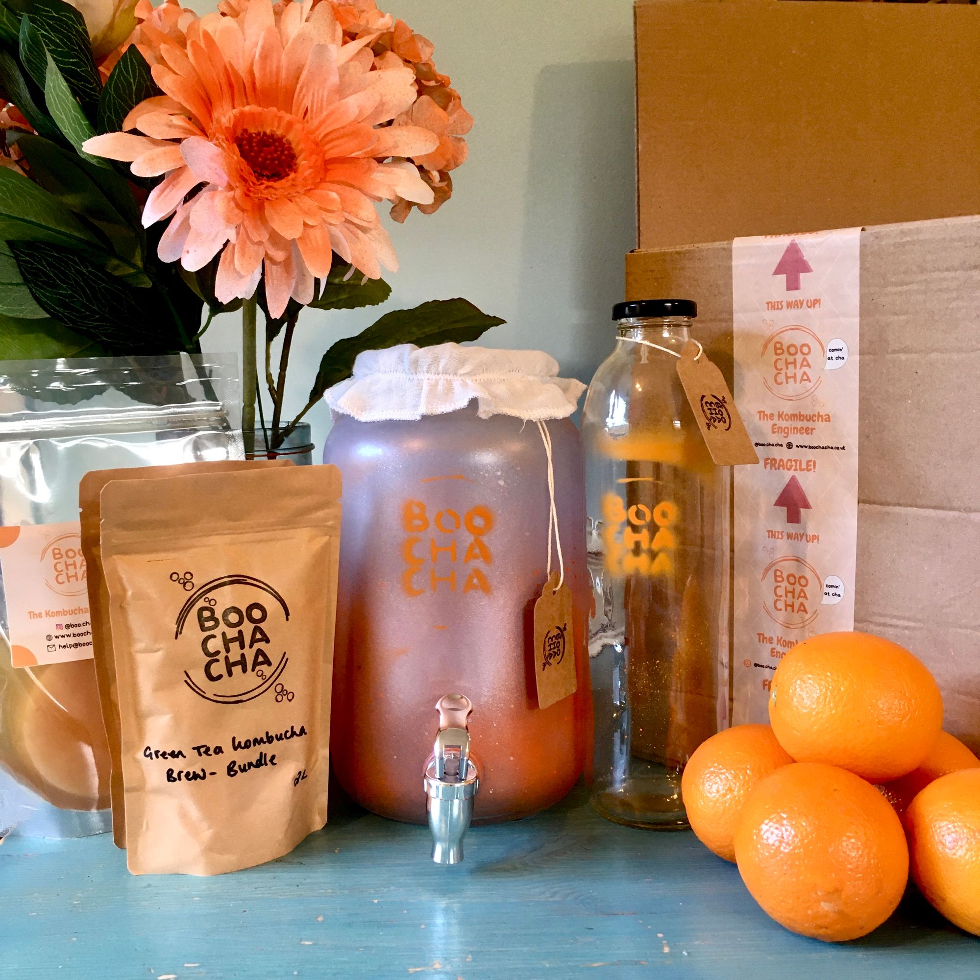 boochacha: A Healthy Obsession with Home-Brewed Kombucha