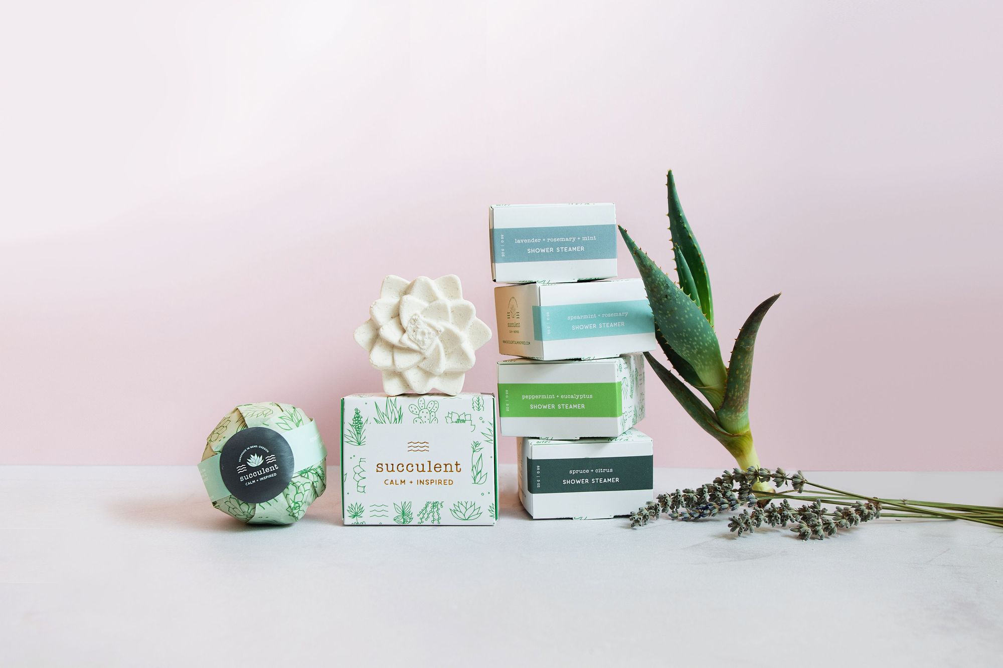 FOLK x Succulent Calm + Inspired