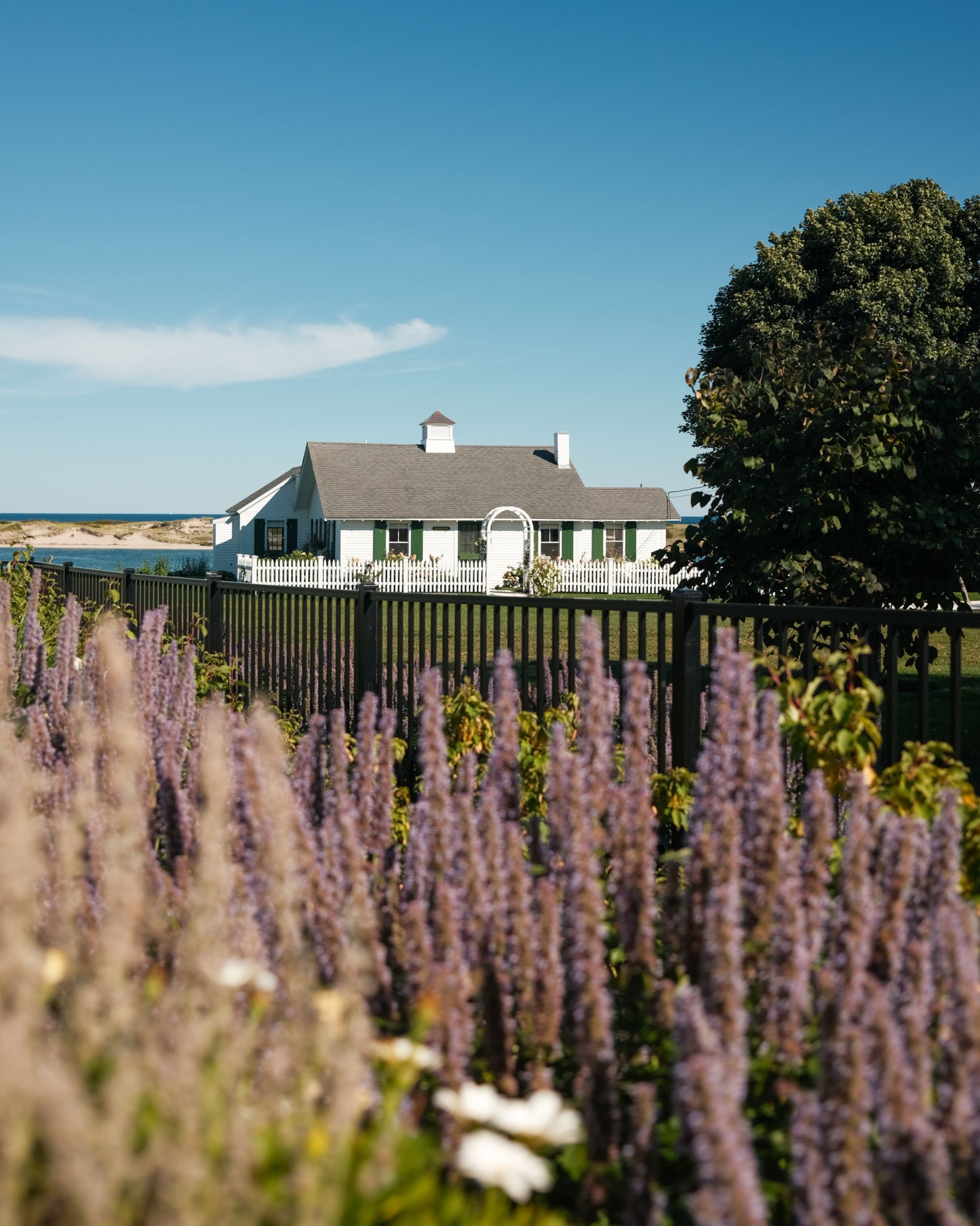 Dunes on the Waterfront x tendlyn
