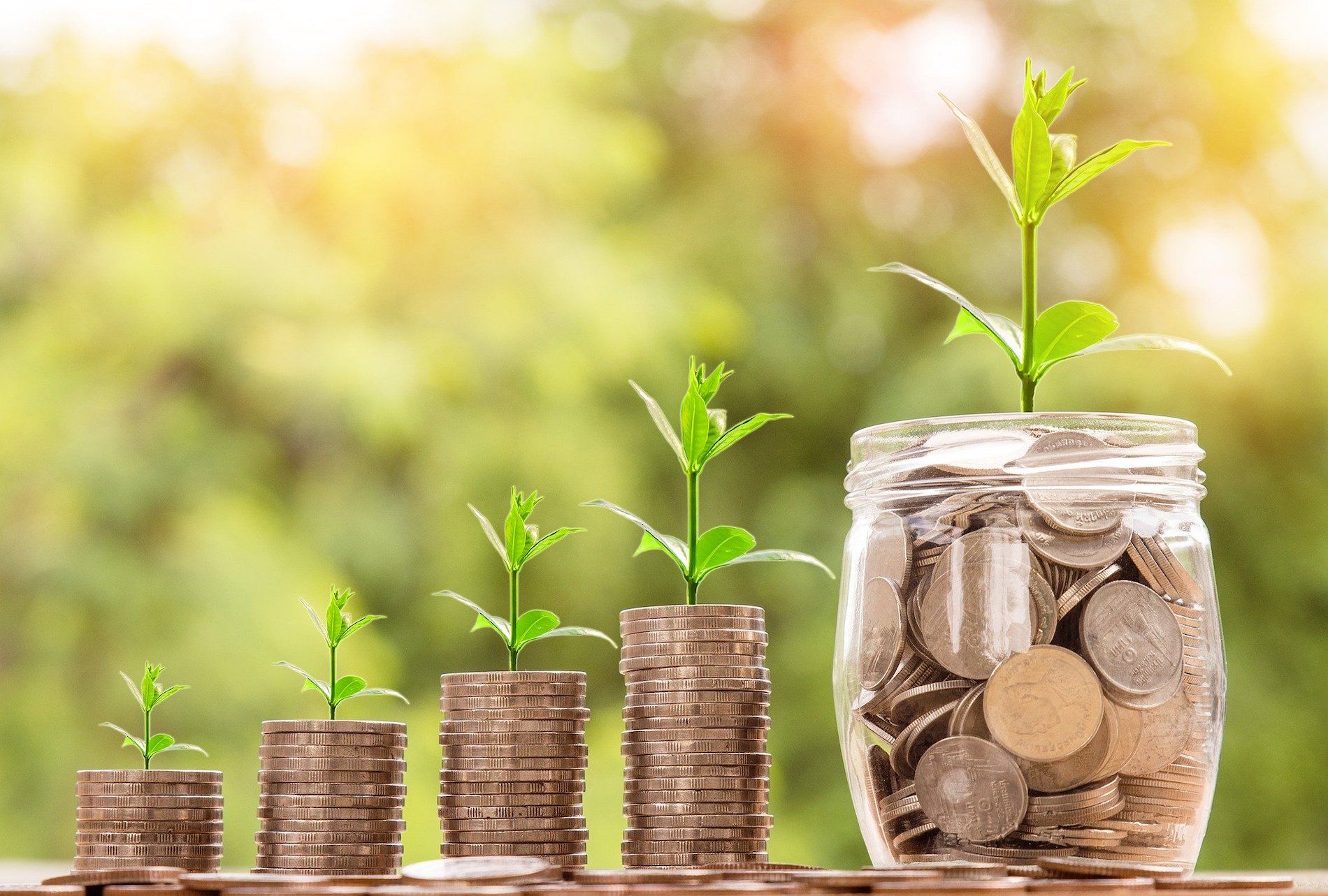 كيفية توسيع نطاق عملك باستخدام تمويل المخزون