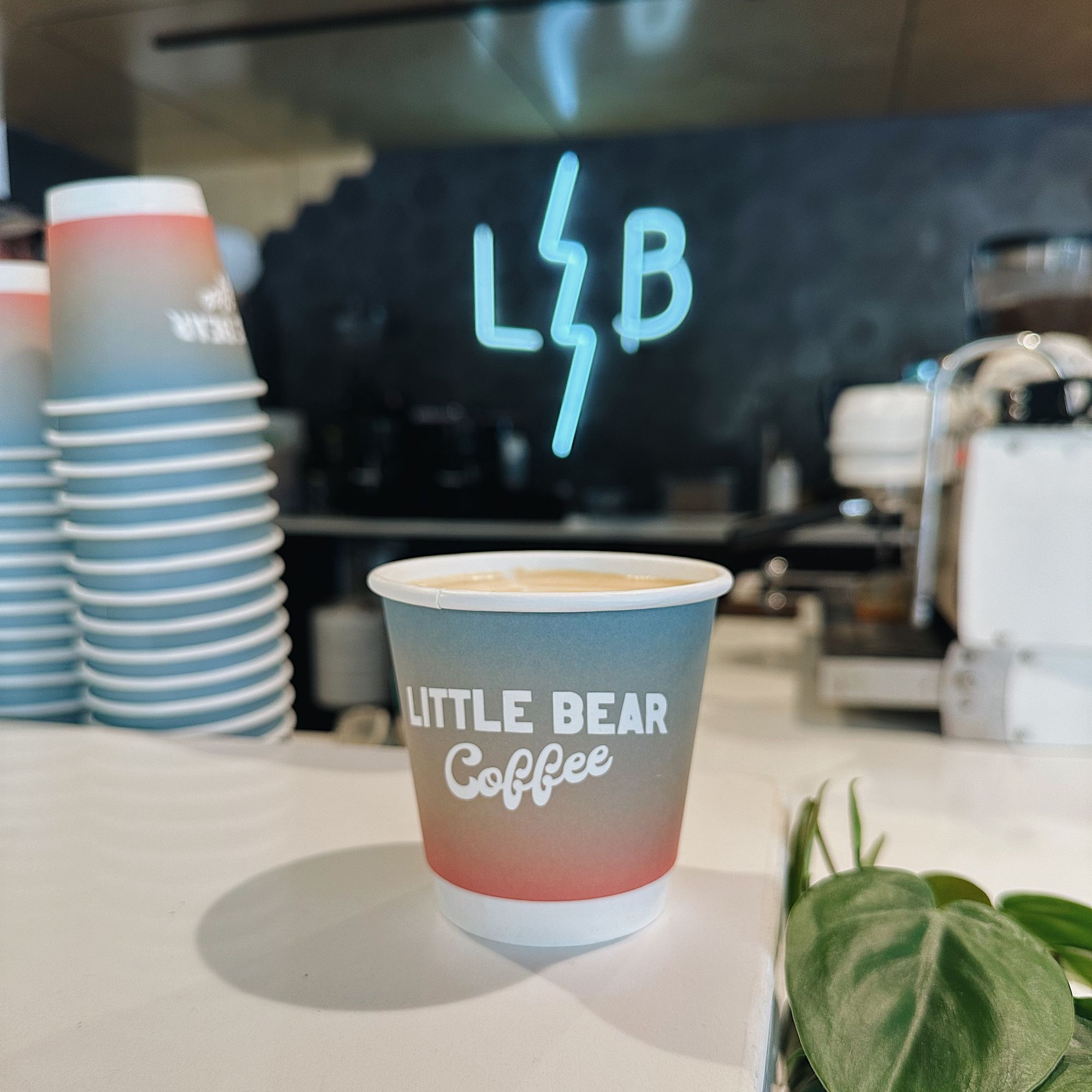 Little Bear Coffee x tendlyn