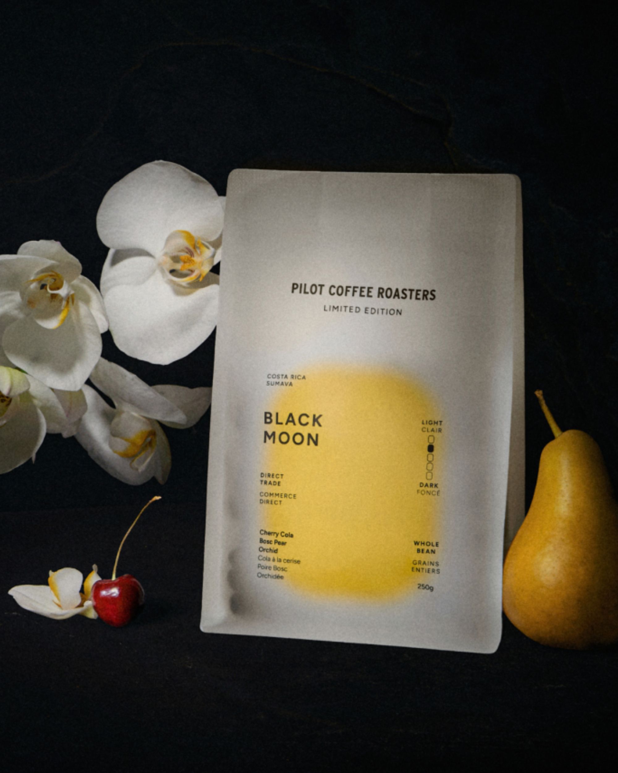Pilot Coffee Roasters x tendlyn