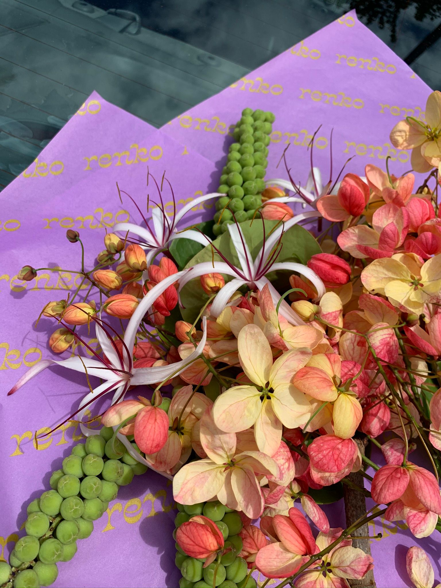 Renko Floral: تسليط الضوء على الزهور المحلية والموسمية، كما ينبغي