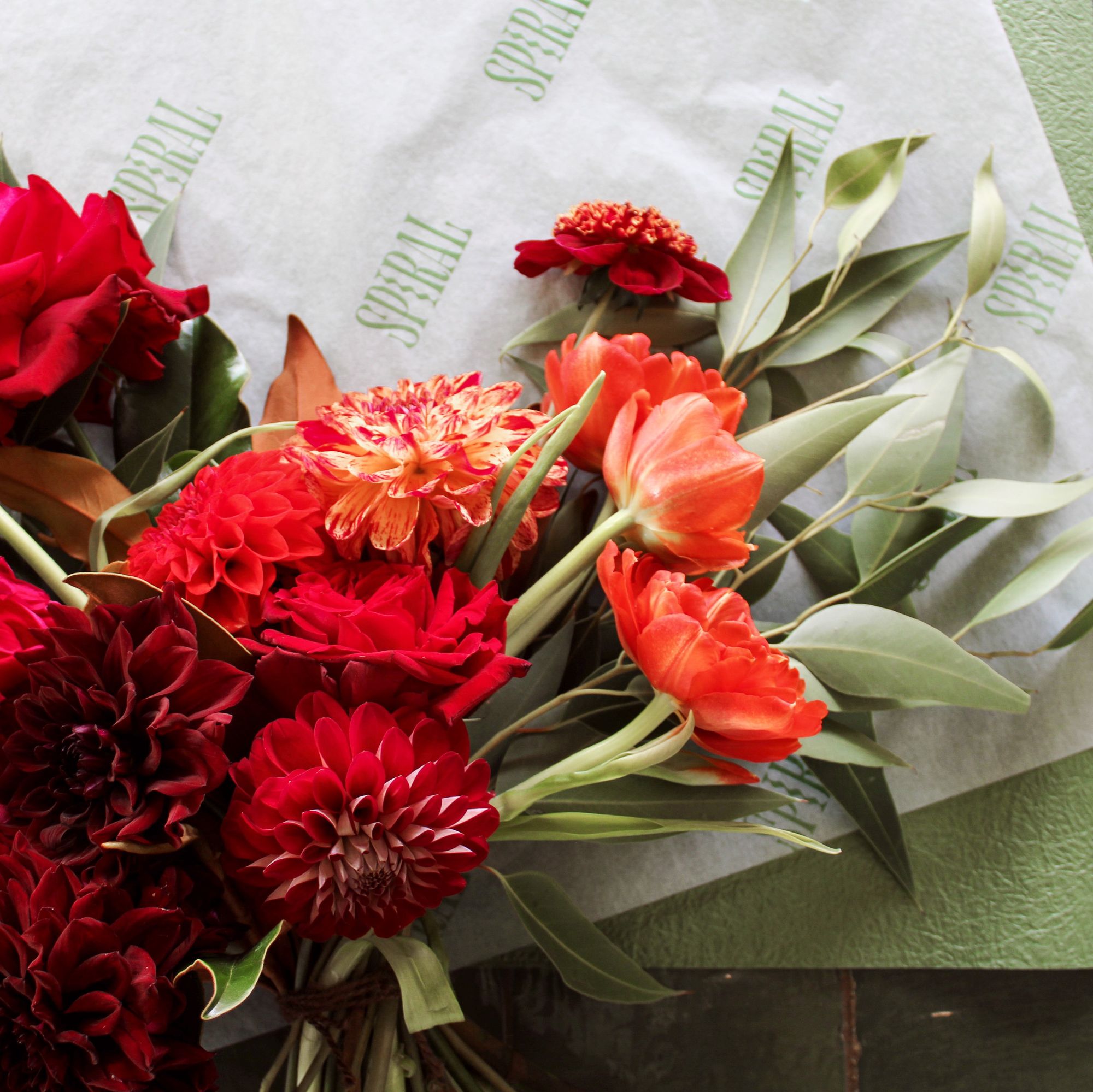 SPIRAL Botanicals x tendlyn