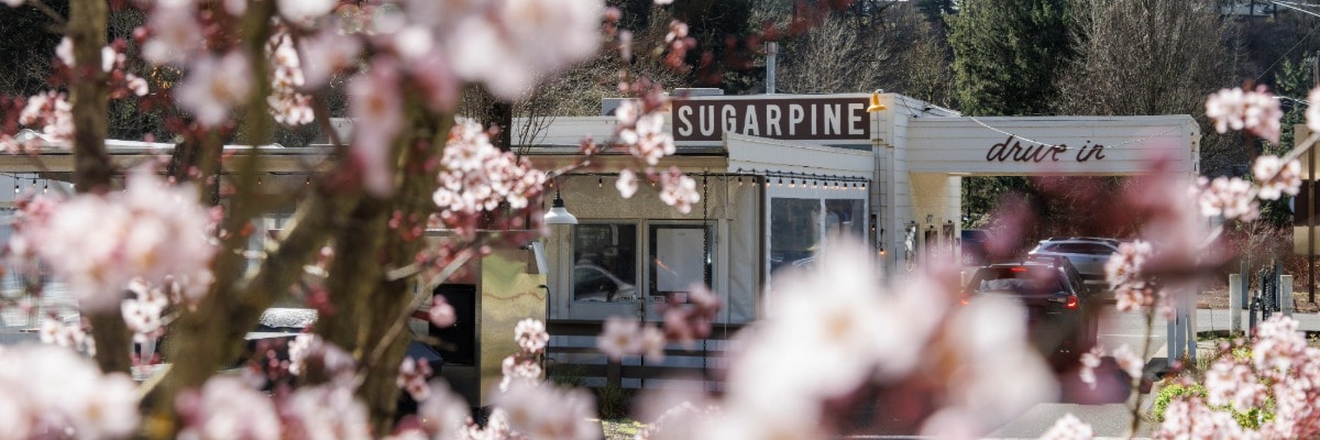 Sugarpine Drive-In x tendlyn.