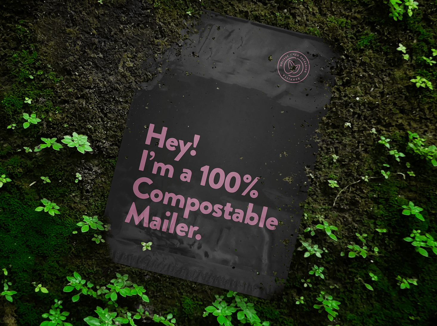 What You Need to Know About Using Compost Facilities